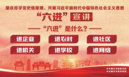 肇庆端州爆料案件最新,真相渐明，疑云散去