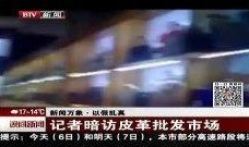 胡凯利最新爆料新闻,揭秘娱乐圈惊人内幕